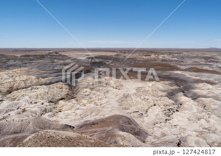 Expansive Desert Landscape Along Blue Forest Hike in Petrified Forest NP 127424817