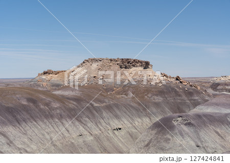 Expansive Desert Landscape Along Blue Forest Hike in Petrified Forest NP 127424841