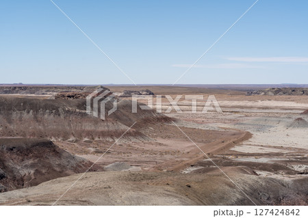 Expansive Desert Landscape Along Blue Forest Hike in Petrified Forest NP 127424842
