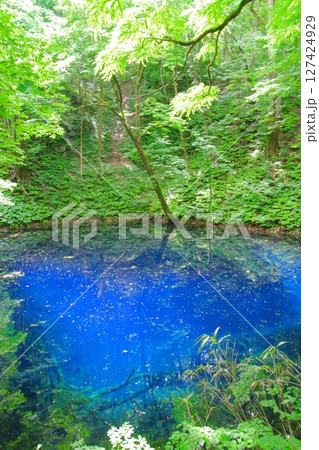 白神山地（青池） 127424929