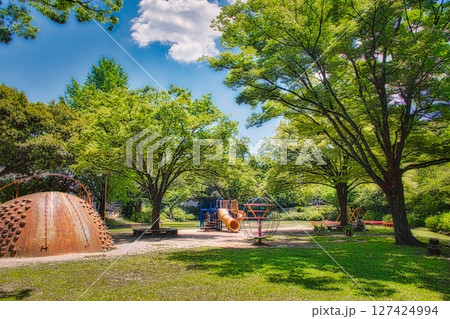6月になると梅雨の晴れ間の公園には色とりどりの紫陽花が咲き誇ります 6月になると梅雨の晴れ間の公園には色とりどりの紫陽花が咲き誇ります 127424994