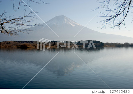 Mt. Fuji from Shoji lake 富士五湖・精進湖の静かな湖畔から眺める冬の富士山 127425426