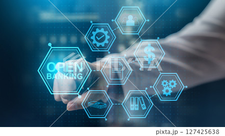 Businesswoman touching the scheme icon of open banking. Technology innovation on the virtual screen. Concept of financial technology 127425638