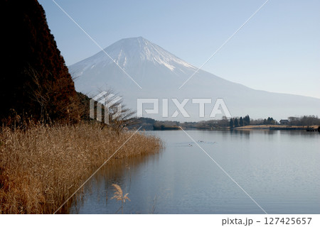 Mt. Fuji from Tanuki lakeside / 真冬の田貫湖から眺める朝の逆さ富士 Mt. Fuji from Tanuki lakeside / 真冬の田貫湖から眺める朝の逆さ富士 127425657