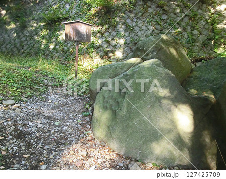 信玄の矢除石(長野県諏訪郡) 信玄の矢除石(長野県諏訪郡) 127425709