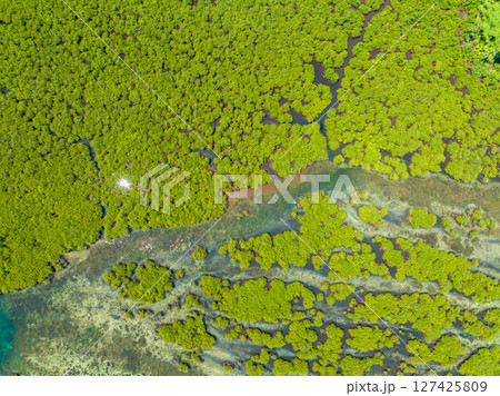 Aerial view of unique ecosystem in Surigao del Norte, mangroves with sunlight reflection. Mindanao, Philippines. 127425809