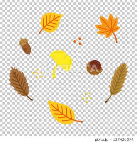 一組手繪的秋葉和橡實插圖 127426074