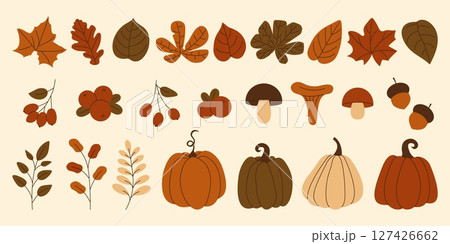 Collection of autumn elements pumpkins, mushrooms, leaves, berries and acorns. Set of fall season web graphics and cozy design themes. Vector illustration 127426662