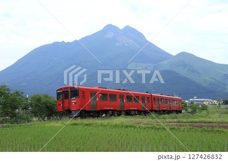 【JR九州】キハ200形550番台と由布岳(久大本線:由布院〜南由布) 【JR九州】キハ200形550番台と由布岳(久大本線:由布院〜南由布) 127426832