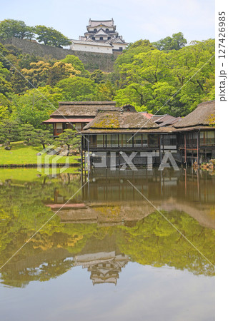 彦根城 玄宮園から見た天守閣 彦根城 玄宮園から見た天守閣 127426985