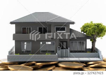 コインの上に載ったミニチュアの一戸建て住宅 コインの上に載ったミニチュアの一戸建て住宅 127427423