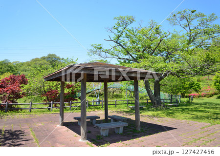 童謡の森ふれあいパーク　2025-5-3　＃53 127427456