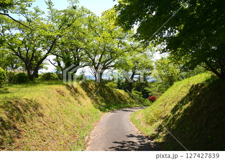 童謡の森ふれあいパーク　2025-5-3　＃66 127427839