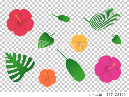 Tropical plant illustrations Tropical plant illustrations 127428122