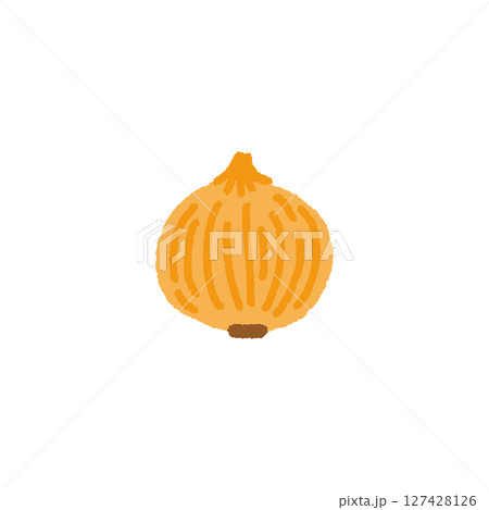 玉ねぎのかわいい手描きイラスト素材 玉ねぎのかわいい手描きイラスト素材 127428126