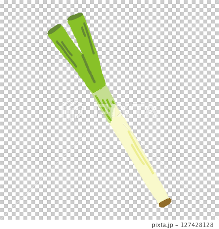 長ネギのかわいい手描きイラスト素材 長ネギのかわいい手描きイラスト素材 127428128