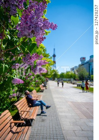 札幌大通公園　テレビ塔　ライラック　リラ　 127428257