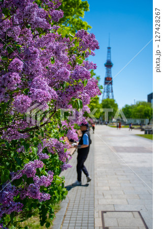 札幌大通公園　テレビ塔　ライラック　リラ　 127428267