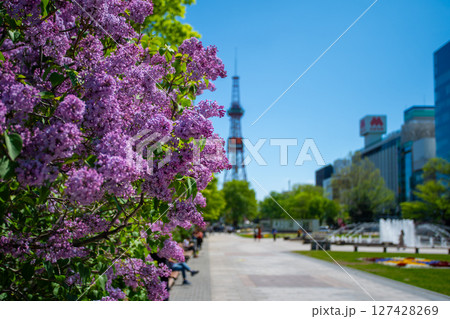 札幌大通公園　テレビ塔　ライラック　リラ　 127428269