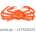 ズワイガニのイラスト 127428325
