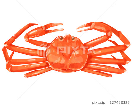 ズワイガニのイラスト 127428325
