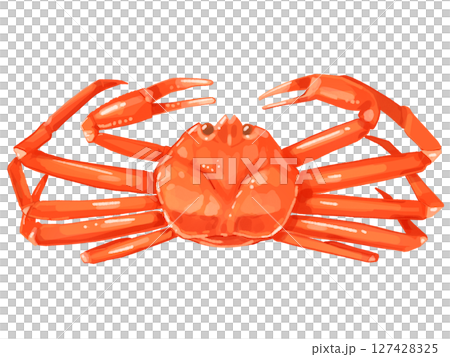 ズワイガニのイラスト 127428325