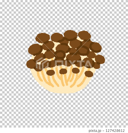 しめじのかわいい手描きイラスト素材 127428612