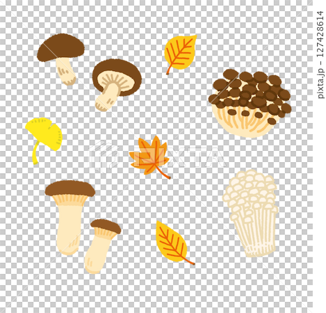 秋季蘑菇插圖集（Eringi，Shimeji，Enoki，Shiitake） 127428614
