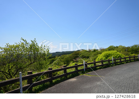 童謡の森ふれあいパーク 2025-5-3 #72 童謡の森ふれあいパーク 2025-5-3 #72 127428618