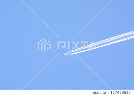 童謡の森ふれあいパーク　2025-5-3　＃79 127428625