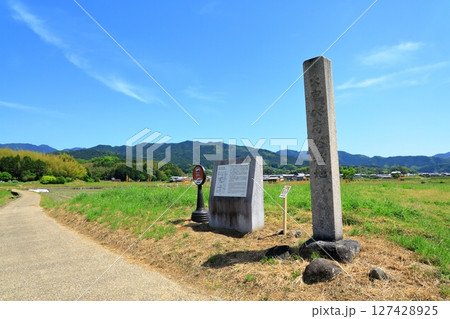 史跡大官大寺跡 127428925
