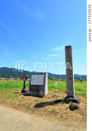 史跡大官大寺跡 127428926