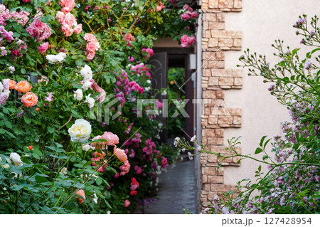 garden pathway is surrounded by lush blooming roses , creating a romantic atmosphere next to a stone-accented house wall garden pathway is surrounded by lush blooming roses , creating a romantic atmosphere next to a stone-accented house wall 127428954