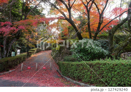 大竹市亀井公園の紅葉 127429240