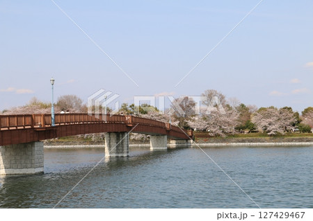 伊勢崎市民の憩いの公園波志江沼 伊勢崎市民の憩いの公園波志江沼 127429467