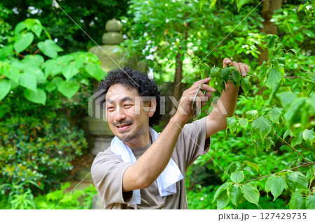 木々に囲まれた庭で剪定作業中の男性が笑顔で自然と向き合う穏やかな庭仕事のひととき 127429735