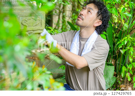 緑に囲まれた庭園で灯籠を手入れする男性が植物と石に向き合う穏やかな作業時間 127429765