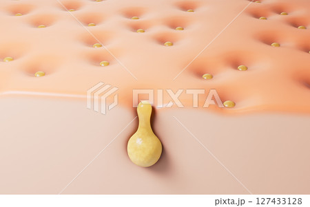 立体 3次元 3D 127433128