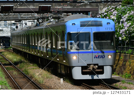 京王1000系　1778F　ワンマン対応車　掘割に植えられたあじさいと 127433171