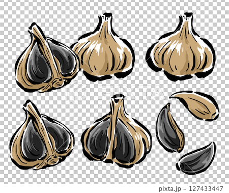 黑蒜:橫切面切成兩半、一片等。手繪插畫,附筆觸 黑蒜:橫切面切成兩半、一片等。手繪插畫,附筆觸 127433447