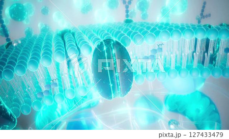 Cell_membrane_blue_zoom 127433479