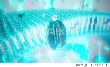 Cell_membrane_blue_zoomのイラスト素材 [127433481] - PIXTA