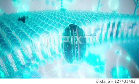 Cell_membrane_blue_zoom Cell_membrane_blue_zoom 127433482