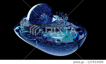 cell_mithocondria_bluedark_FAR 127433499