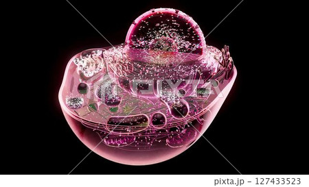 cell_mithocondria_pink cell_mithocondria_pink 127433523