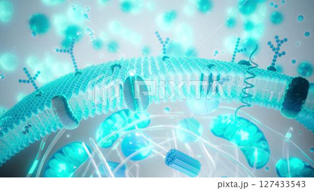 Cell_membrane_blueのイラスト素材 [127433543] - PIXTA