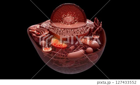 cell_mithocondria_clay_faraway_inside 127433552