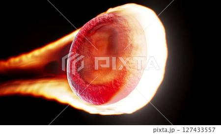 blood_fire blood_fire 127433557
