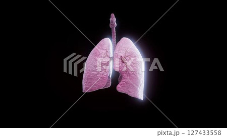 lungs_real_cancer lungs_real_cancer 127433558