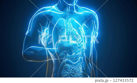 man_blue_anatomy man_blue_anatomy 127433572